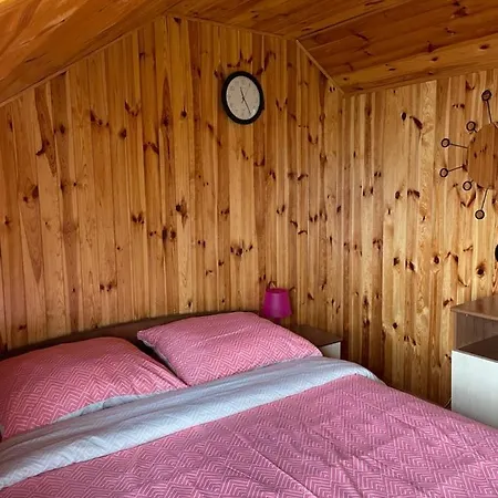 Zenek Holiday home